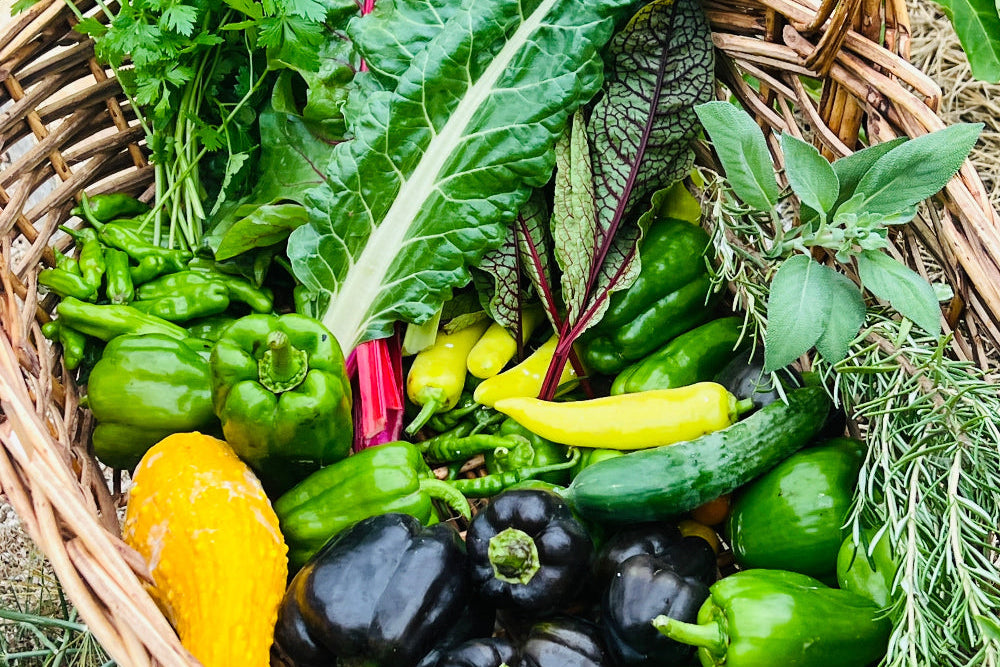 Abundance of fresh veggies from colette's garden
